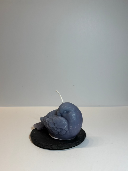 Kerze, die aussieht wie ein liegender Vogel, der sich selbst in seine Flügel schaut