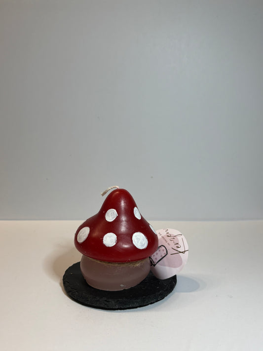 Große Pilz Kerze