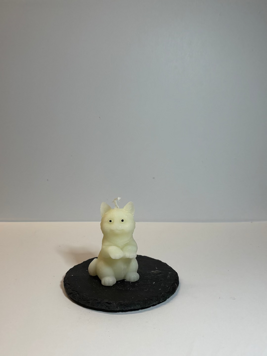 Kerze, die aussieht wie eine kleine Katze, die auf ihren Hinterpfoten steht und die Vorderpfoten nach oben hebt