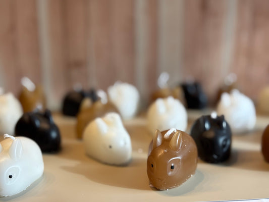 Ein liegender Hase mit offenen Augen und zurückgelegten Ohren