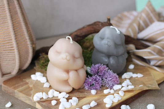 Kerze, wo ein Hase die Ohren zurückgelegt hat, einen glücklichen Blick aufweist und ein Herz vor seinem Körper umarmt